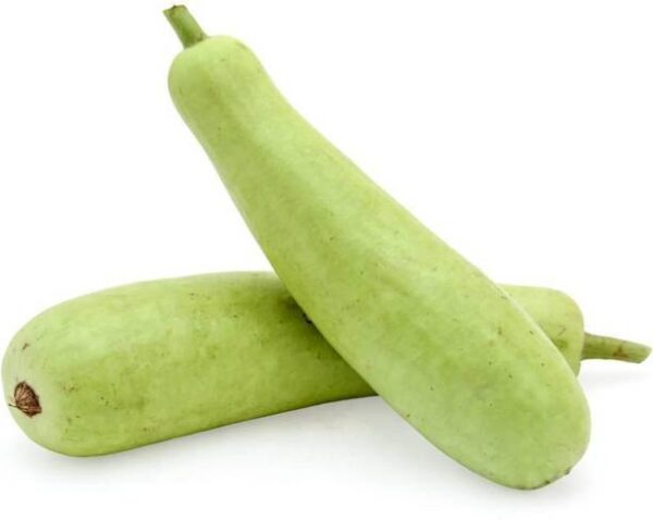 Bottle Gourd
