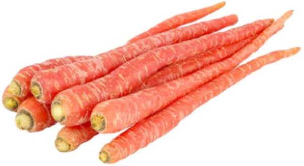 Carrot Red Long