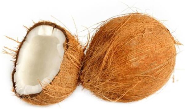 Coconut Small Kalash