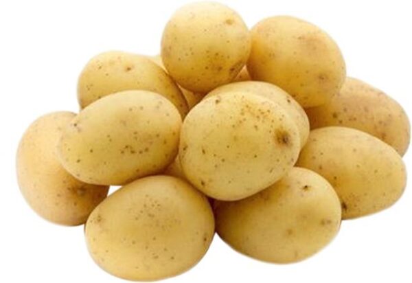 Potato Economy Sugar Free