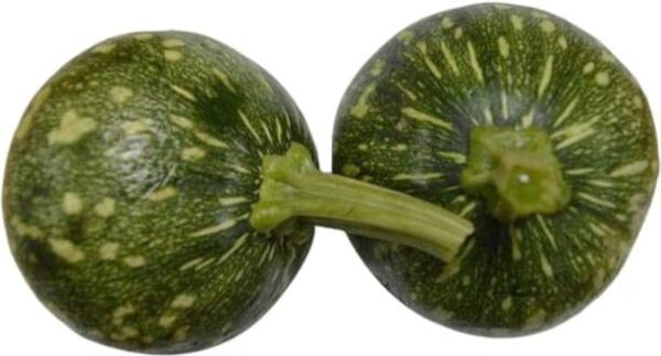 Organic Pumpkin Baby