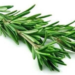 Rosemary