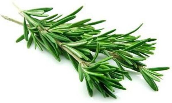 Rosemary