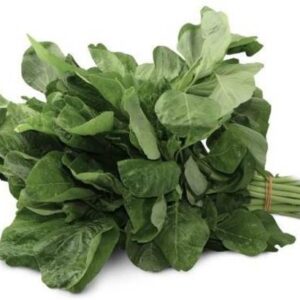 Amaranthus - Green