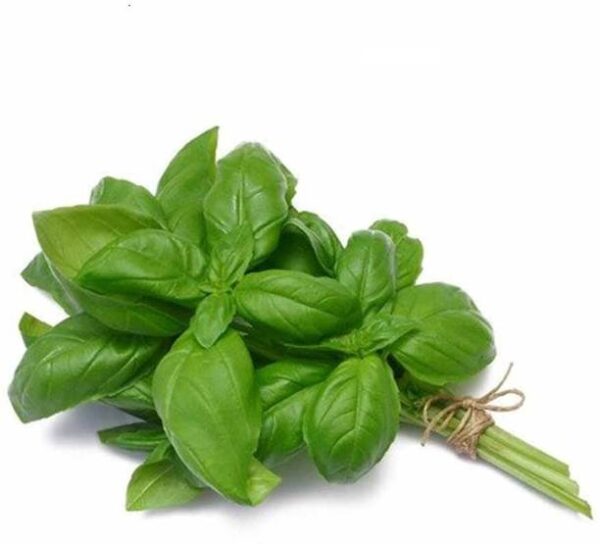 Namdhari’s FRESH Basil Italian Leaves
