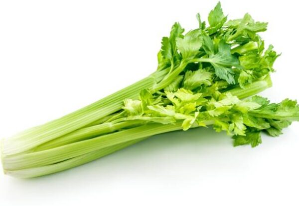 Celery
