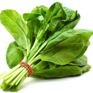 Fresh Spinach