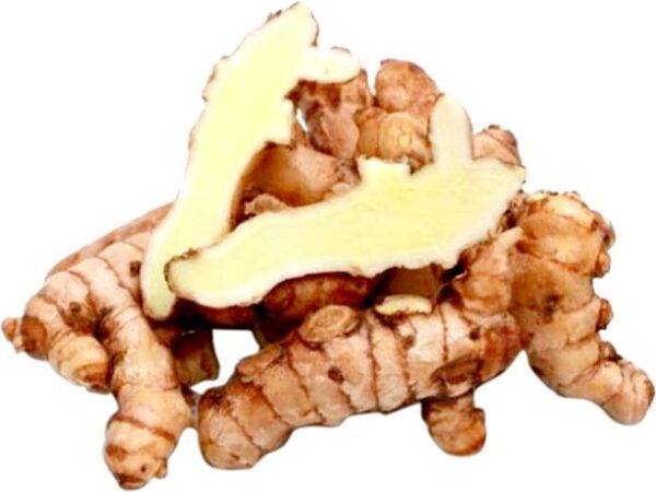 Organic Ginger Mango