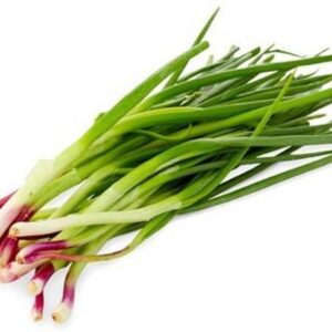 Spring Onion