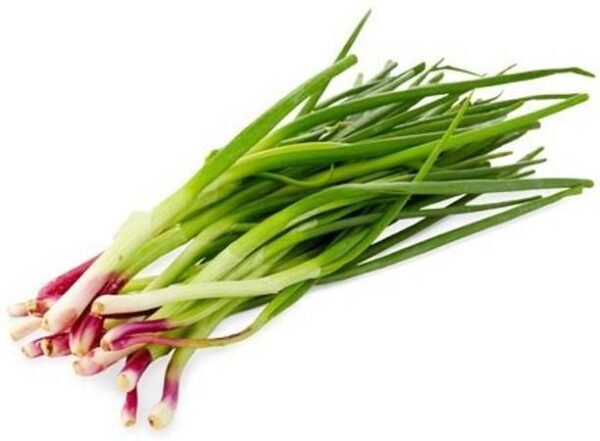 Spring Onion