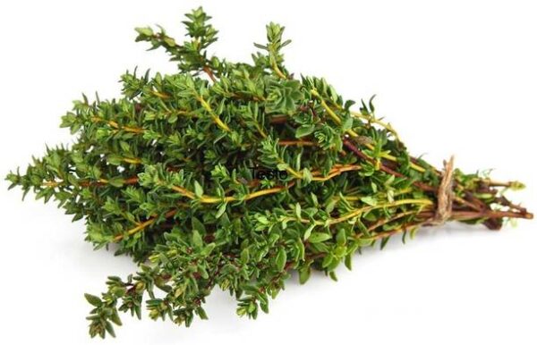 Namdhari’s FRESH Thyme Leaves
