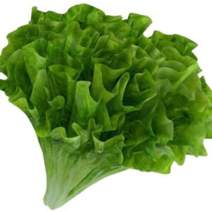 Lettuce Summer Crisp