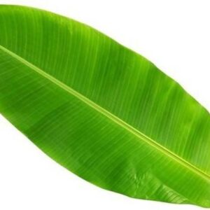 Banana Leaf