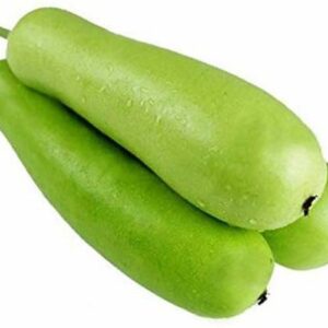 Bottle Gourd Regular