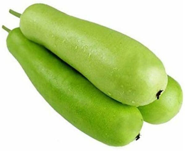 Bottle Gourd Regular
