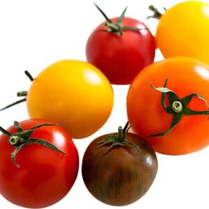 Cherry Tomato Mixed Color
