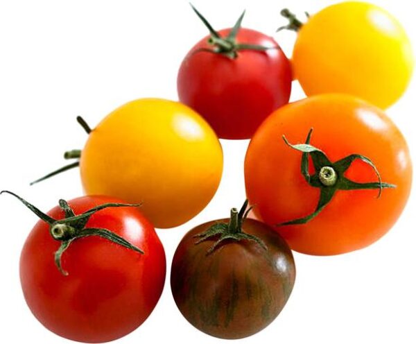 Cherry Tomato Mixed Color