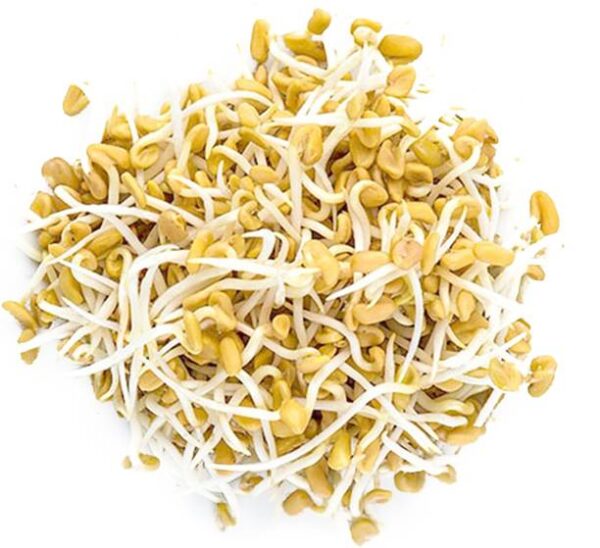 Fenugreek Sprouts Peeled