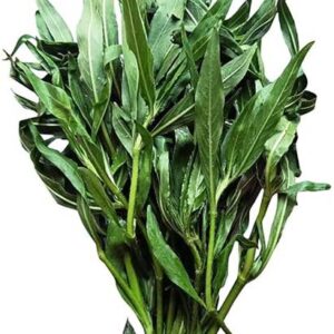 Kulekhara saag Leafy