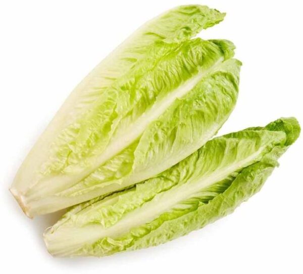 Namdhari’s FRESH Lettuce Romaine