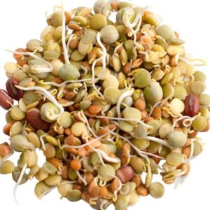 Mixed Sprouts Peeled