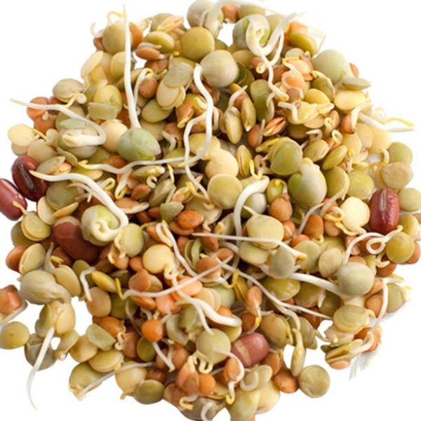 Mixed Sprouts Peeled