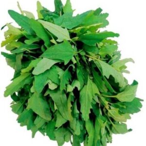 Chenopodium (Bathua Saag) Leafy