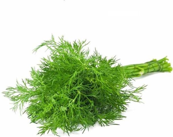 Namdhari’s FRESH Dill Leaf