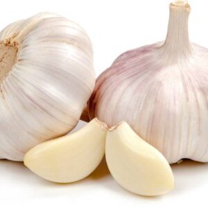 Garlic