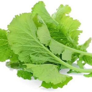 Mustard leaves Leafy