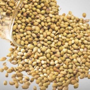 kotaliya sabut dhaniya, coriender seeds