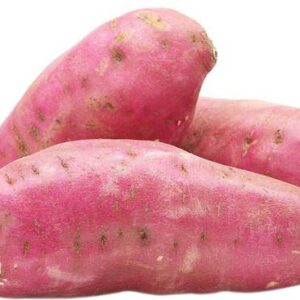 Sweet Potato