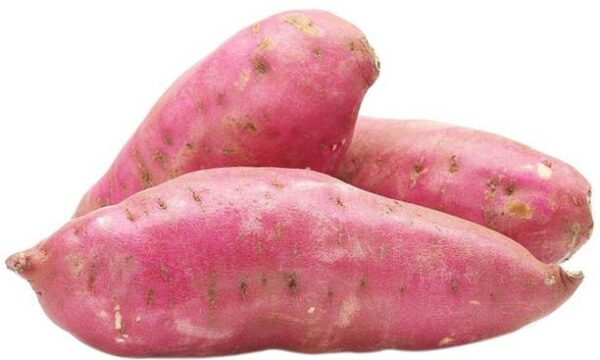 Sweet Potato