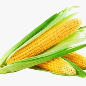 Sweetcorn