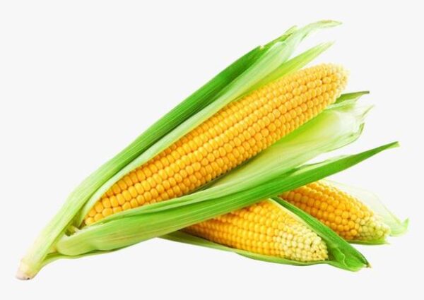 Sweetcorn