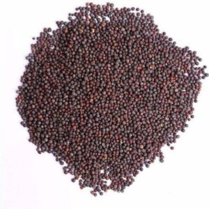 90's MILL Mustard Seed | Rai Seed Black