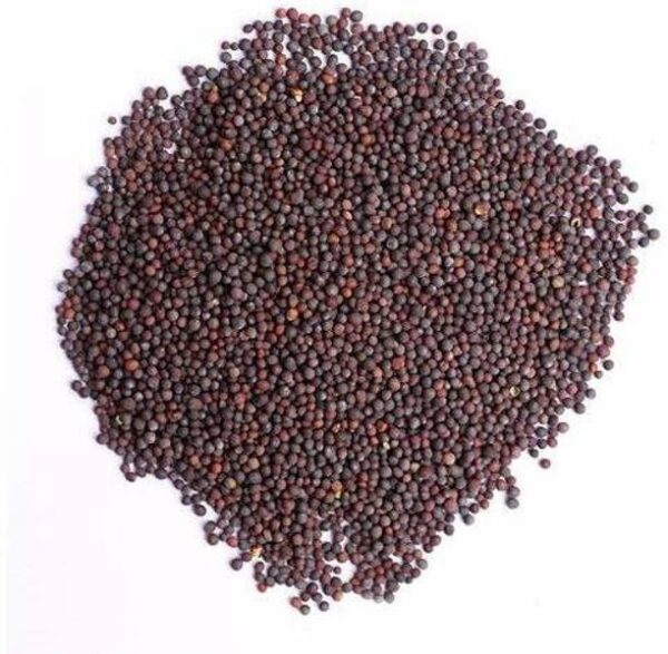 90's MILL Mustard Seed | Rai Seed Black