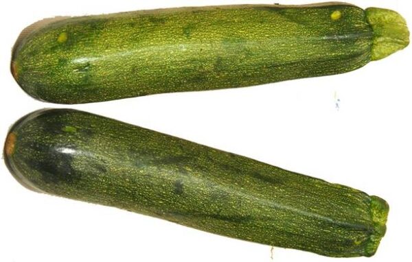 Zucchini – Green