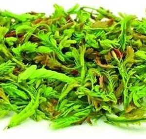 Tender Tamrind Leaves