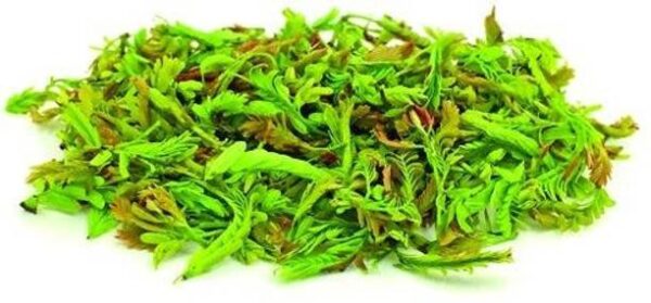 Tender Tamrind Leaves