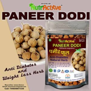 NutrActive Organic PANEER DODI PHOOL - Paneer doda 200 ...