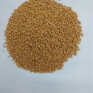 healthy herbs Peeli Sarso