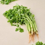 Coriander Leaves With Roots - Enhances Flavour Of The Dishes