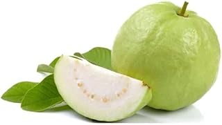 Fresh Thai Guava Indian, 1 Pc – Fresh, 300 Gm