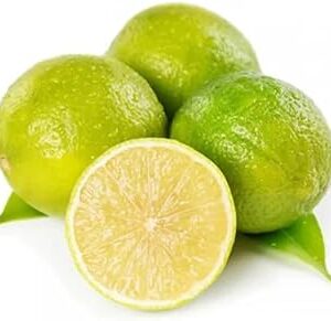 Fresh Mosambi Economy, 1Kg