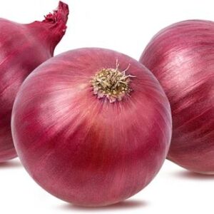 Onion