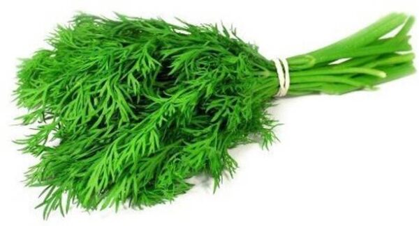 Dill Leaf