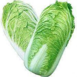 Chinese Cabbage