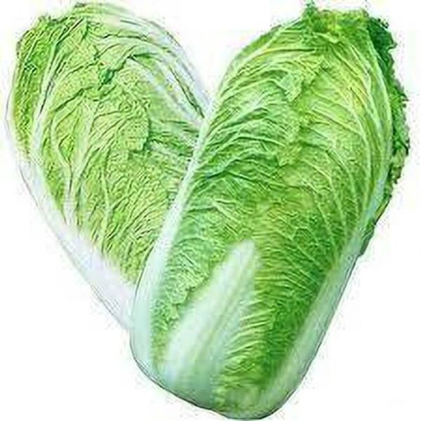 Chinese Cabbage