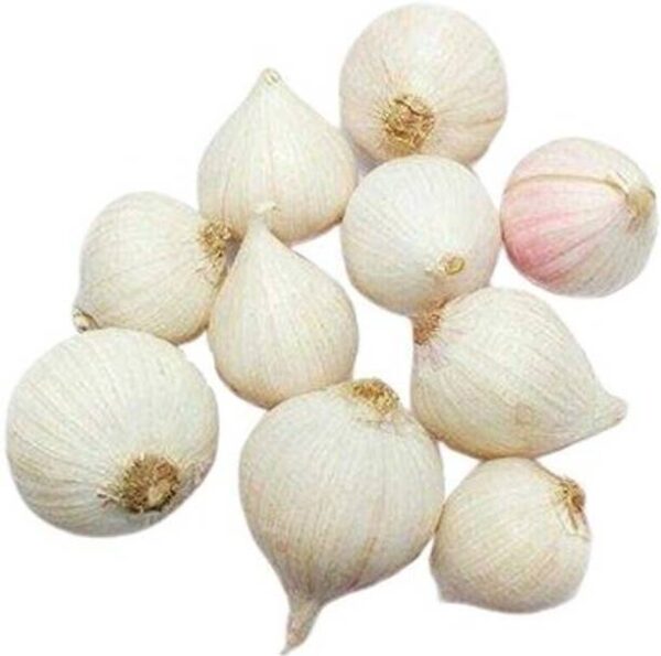 Fresh Garlic Ekali